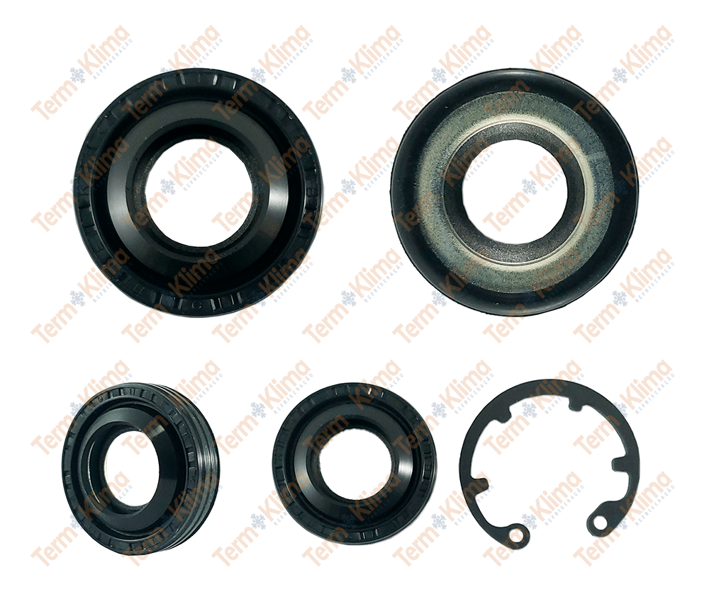 SELO DO COMPRESSOR DELPHI CVC - ROYCE - 60002